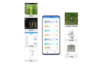 清远市小麦表型检测仪IN-XM04